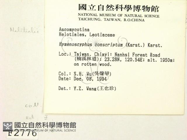 登錄號:F0002776藏品圖，第2張