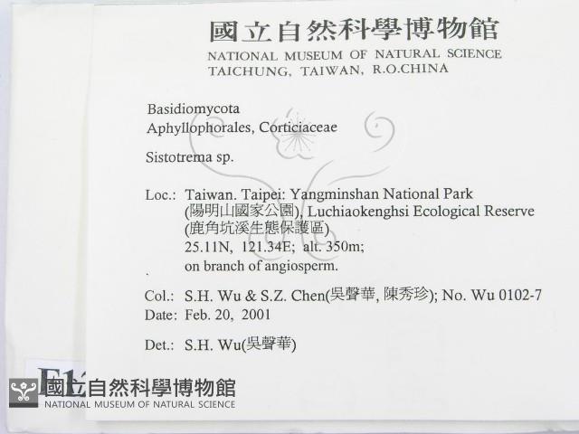 登錄號:F0012776藏品圖，第2張