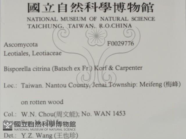 登錄號:F0029776藏品圖，第2張