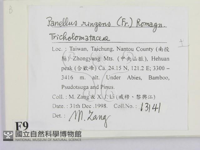 登錄號:F0009776藏品圖，第2張