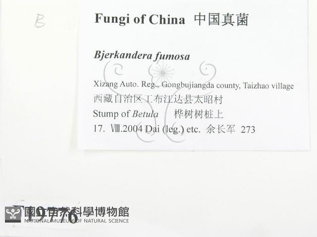 登錄號:F0019776藏品圖，第2張