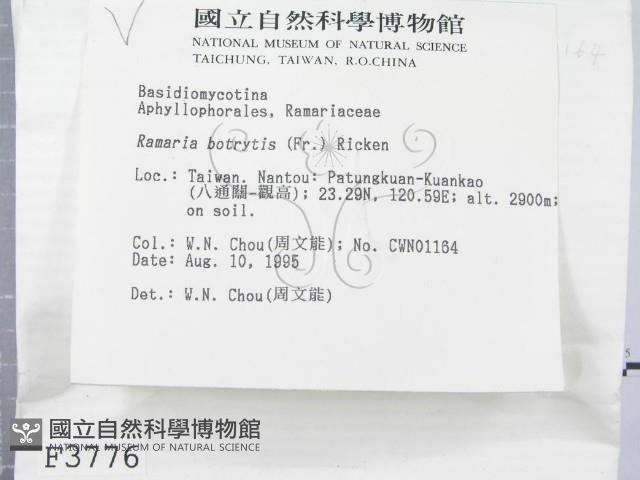 登錄號:F0003776藏品圖，第2張