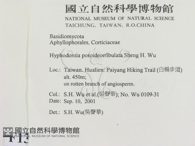 登錄號:F0013776藏品圖，第2張