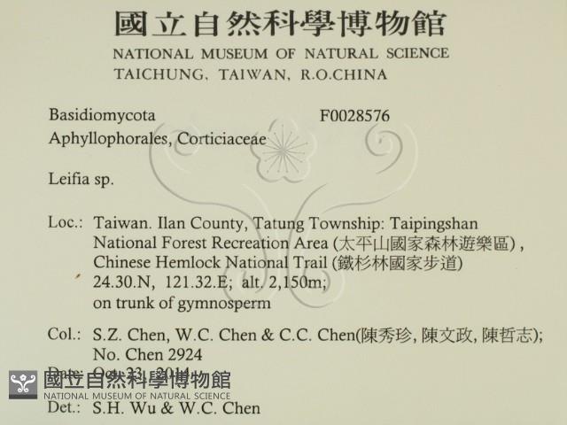 登錄號:F0028576藏品圖，第2張