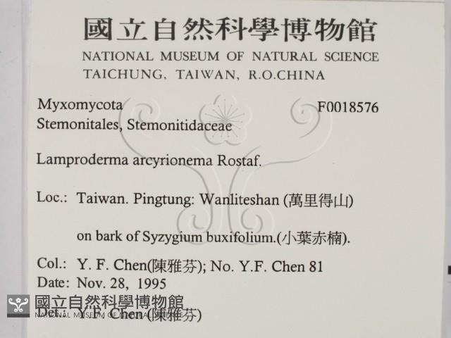登錄號:F0018576藏品圖，第2張