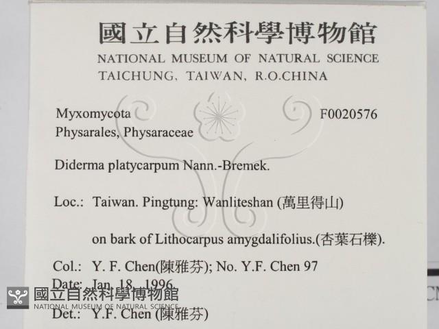 登錄號:F0020576藏品圖，第2張