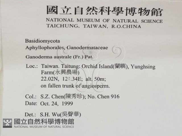 登錄號:F0010576藏品圖，第2張