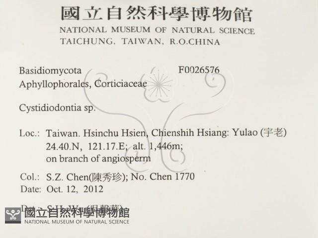 登錄號:F0026576藏品圖，第2張