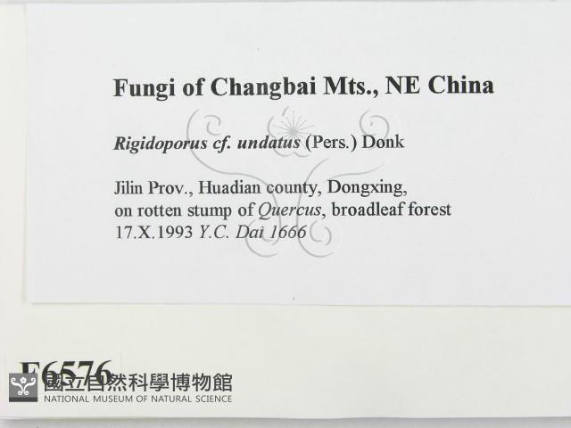 登錄號:F0006576藏品圖，第2張