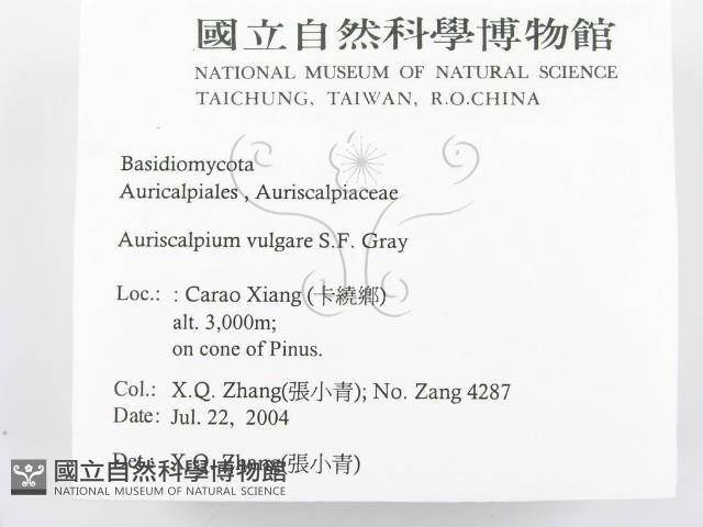 登錄號:F0016576藏品圖，第2張