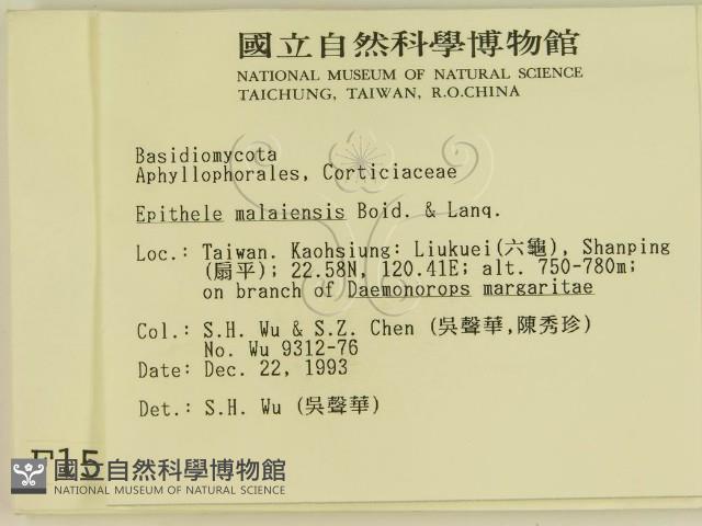 登錄號:F0001576藏品圖，第2張