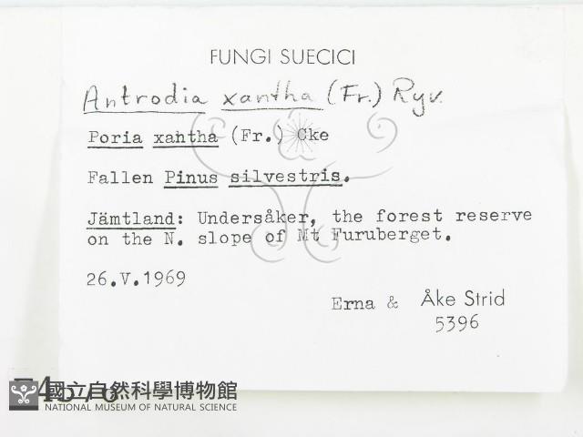 登錄號:F0004576藏品圖，第2張