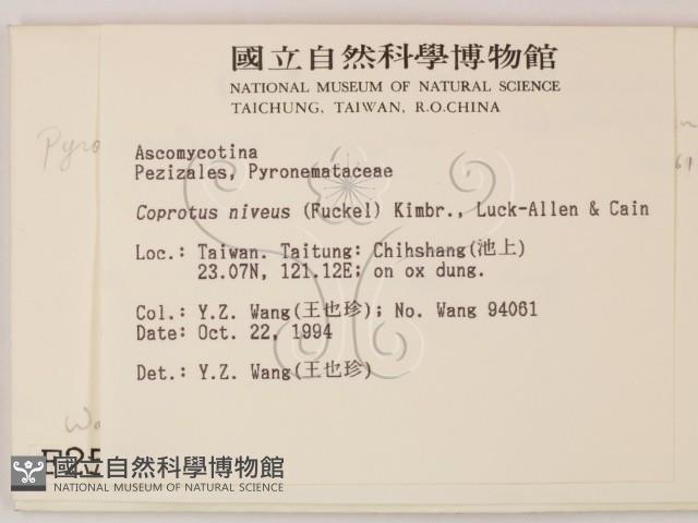 登錄號:F0002576藏品圖，第2張