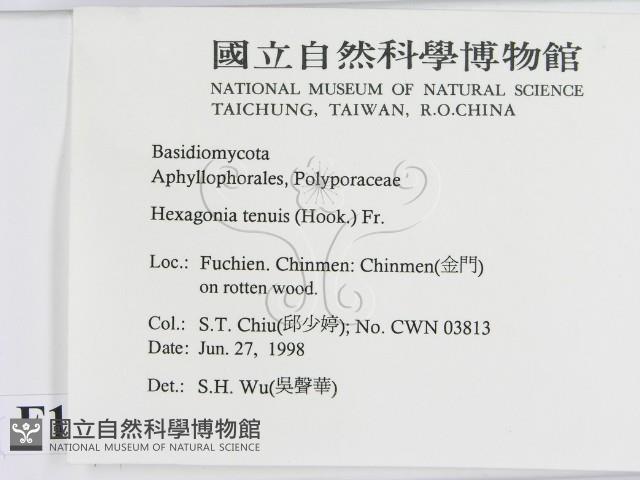 登錄號:F0012576藏品圖，第2張