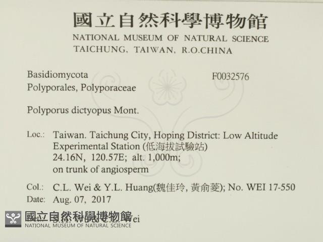 登錄號:F0032576藏品圖，第2張