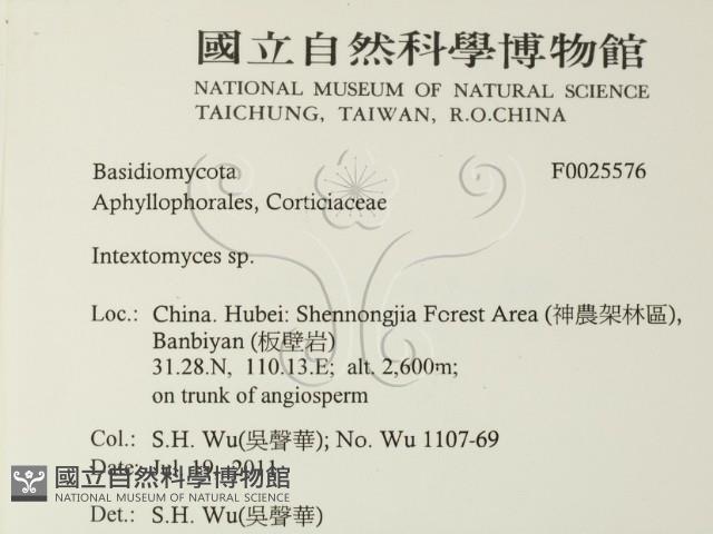 登錄號:F0025576藏品圖，第2張