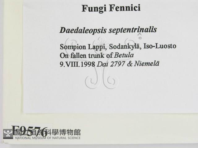 登錄號:F0009576藏品圖，第2張