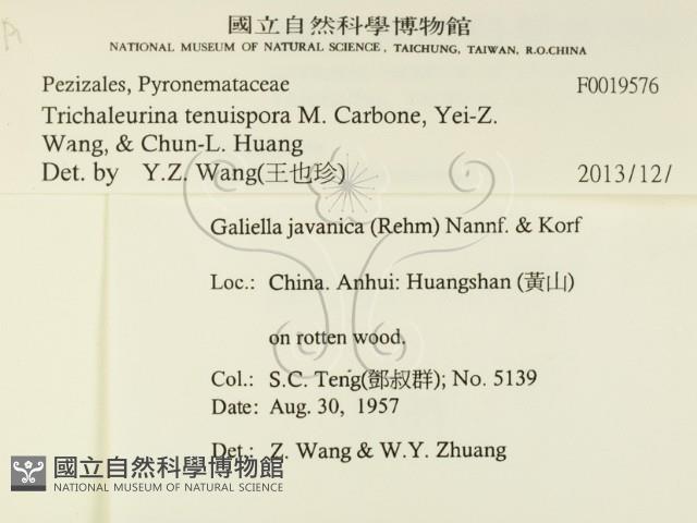 登錄號:F0019576藏品圖，第2張