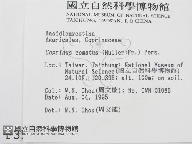 登錄號:F0003576藏品圖，第2張