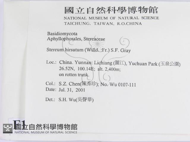 登錄號:F0013576藏品圖，第2張