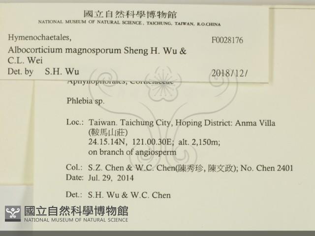 登錄號:F0028176藏品圖，第2張