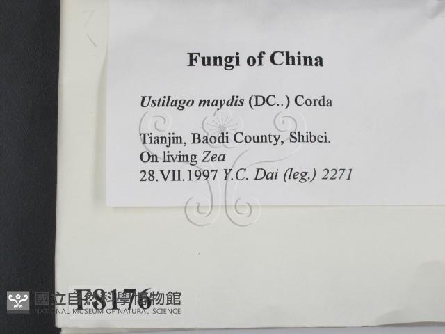 登錄號:F0008176藏品圖，第2張