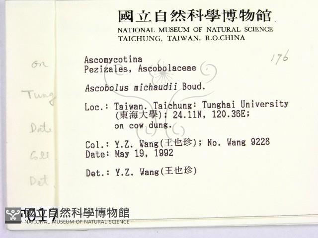 登錄號:F0000176藏品圖，第2張