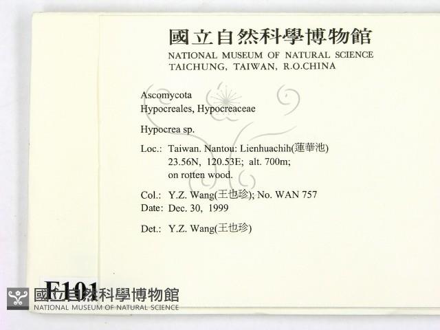 登錄號:F0010176藏品圖，第2張