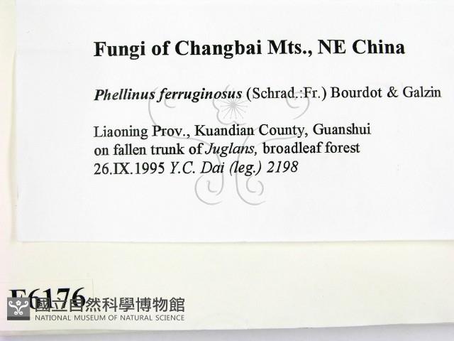 登錄號:F0006176藏品圖，第2張