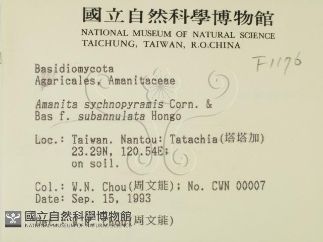 登錄號:F0001176藏品圖，第2張