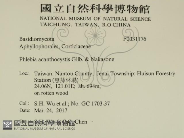 登錄號:F0031176藏品圖，第2張