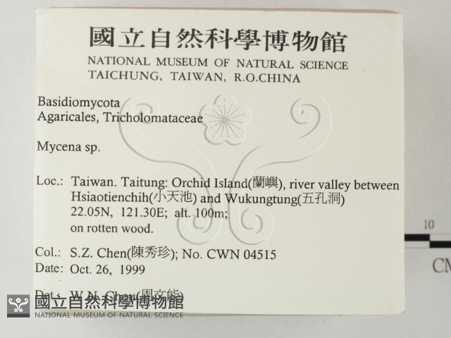小菇屬藏品圖，第2張