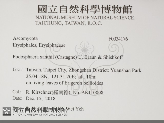 登錄號:F0034176藏品圖，第2張