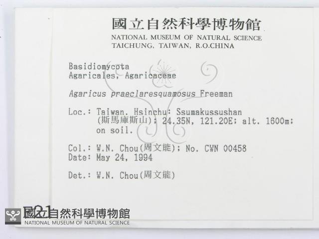 登錄號:F0002176藏品圖，第2張