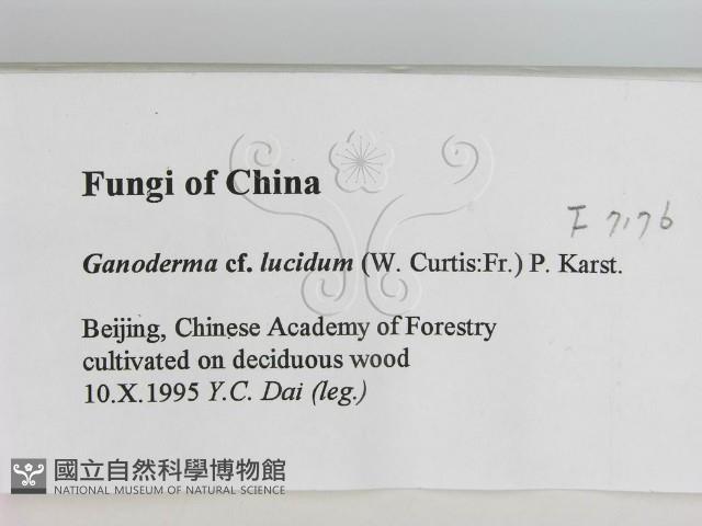 登錄號:F0007176藏品圖，第2張