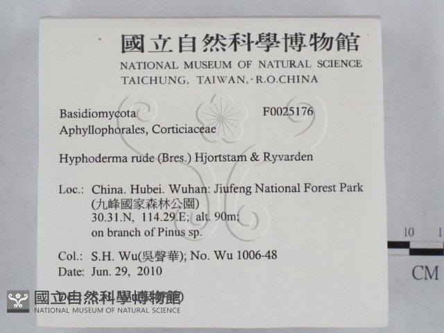 登錄號:F0025176藏品圖，第2張
