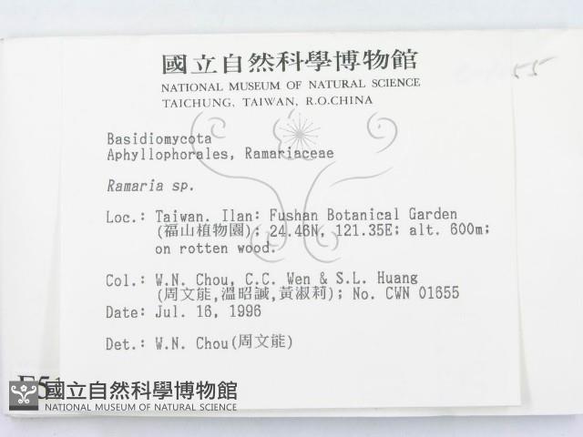 登錄號:F0005176藏品圖，第2張