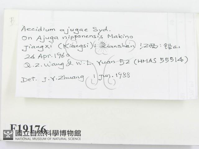 登錄號:F0019176藏品圖，第2張