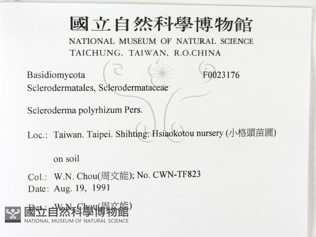 登錄號:F0023176藏品圖，第2張
