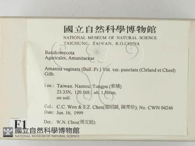 登錄號:F0013176藏品圖，第2張