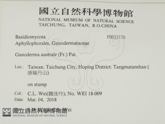 登錄號:F0033176藏品圖，第2張