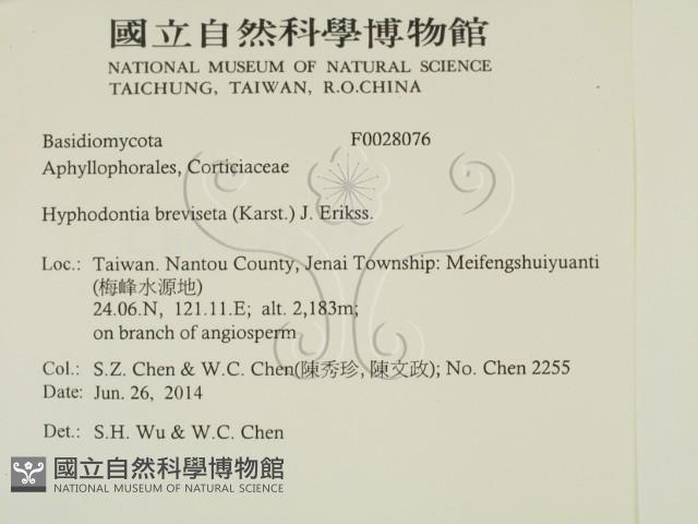 登錄號:F0028076藏品圖，第2張