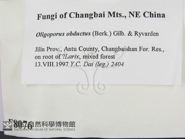 登錄號:F0008076藏品圖，第2張