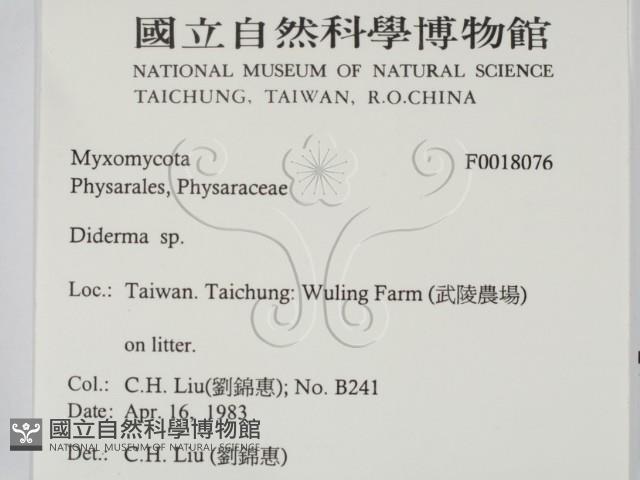 登錄號:F0018076藏品圖，第2張