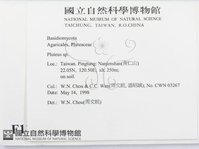 登錄號:F0011076藏品圖，第2張