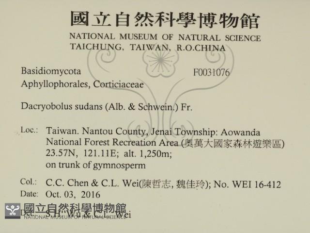 登錄號:F0031076藏品圖，第2張