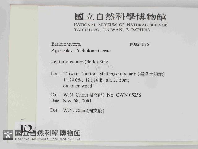 登錄號:F0024076藏品圖，第2張