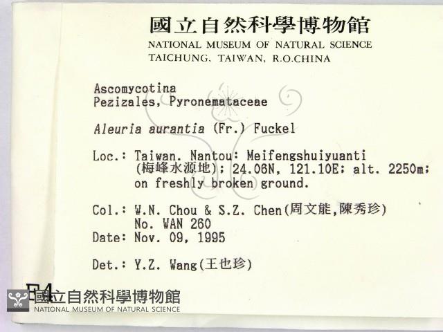 登錄號:F0004076藏品圖，第2張