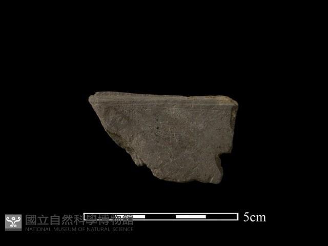 帶加工痕石材藏品圖，第2張