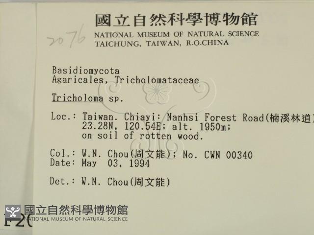 登錄號:F0002076藏品圖，第2張